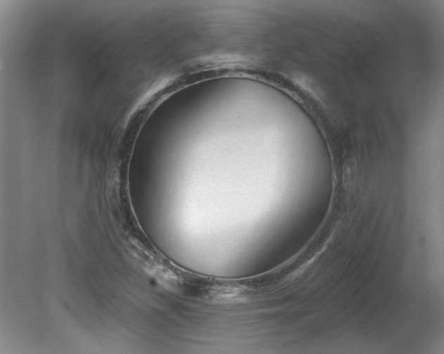 X0000078271309200611101057