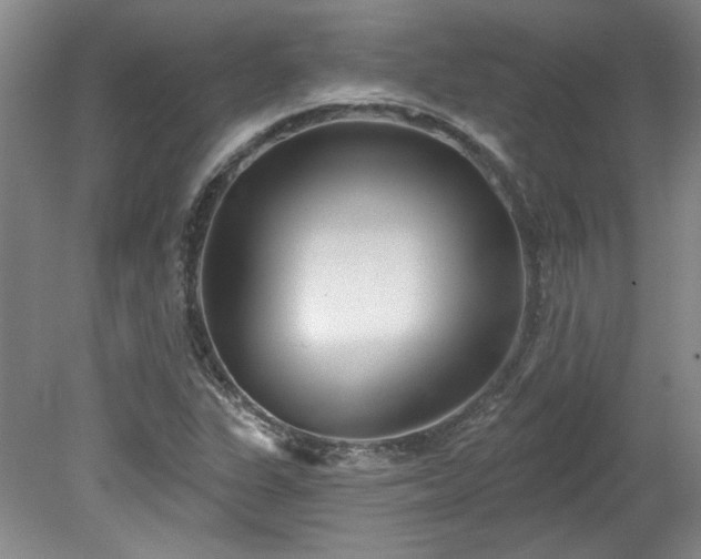 X0000078271311200611101057
