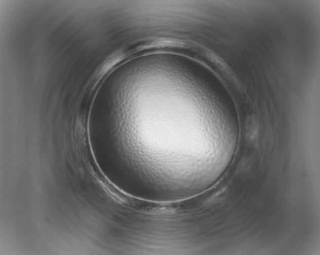 X0000078271321200611101057