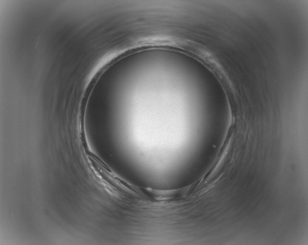 X0000078271328200611101057