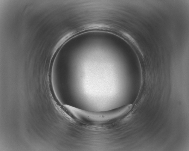 X0000078271330200611101057
