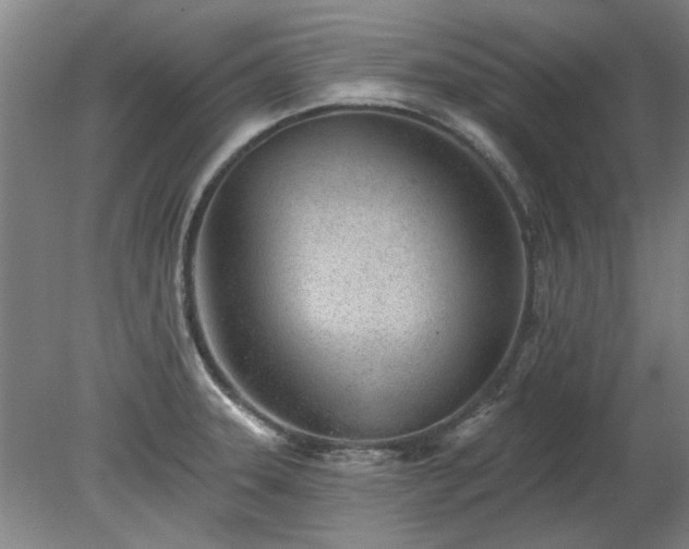X0000078271331200611101057