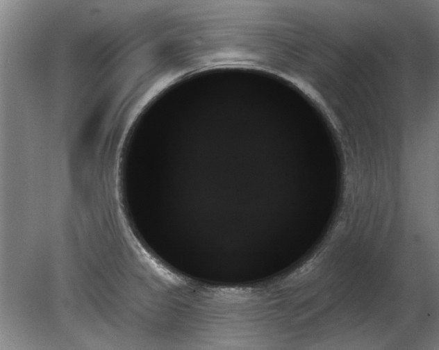 X0000078271333200611101057