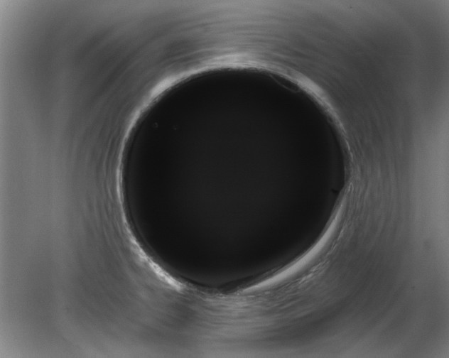 X0000078271334200611101058