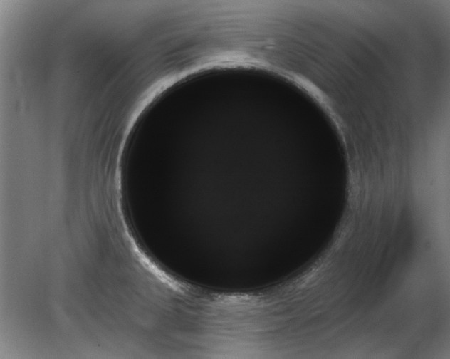 X0000078271335200611101058