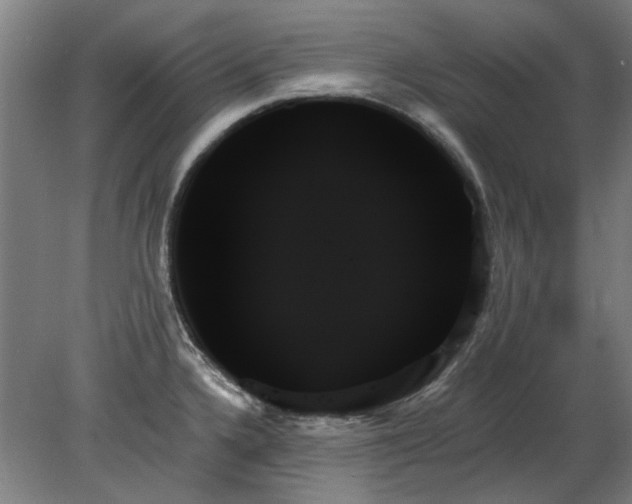 X0000078271336200611101058