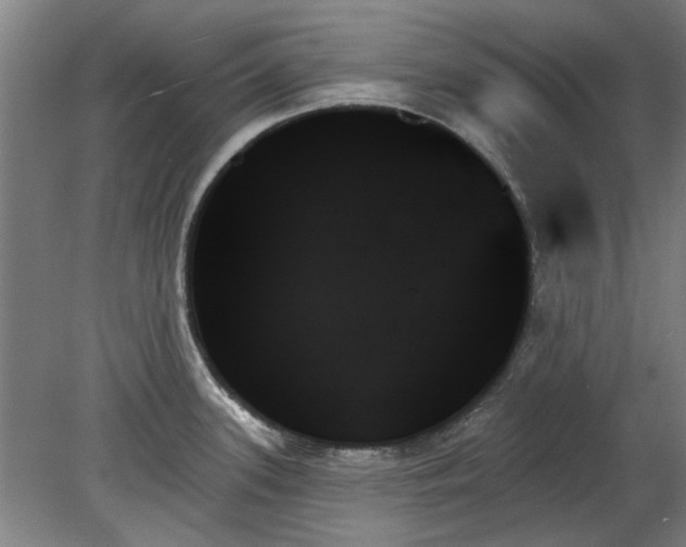 X0000078271339200611101058
