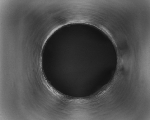 X0000078271340200611101058