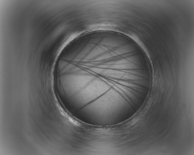 X0000078271341200611101058