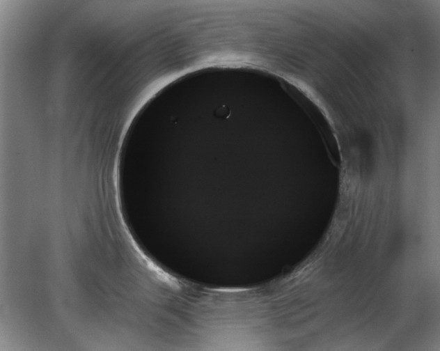 X0000078271343200611101058