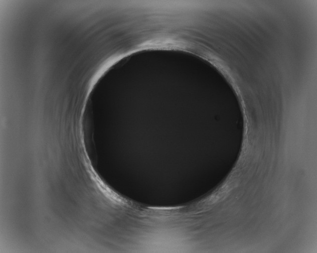 X0000078271344200611101058