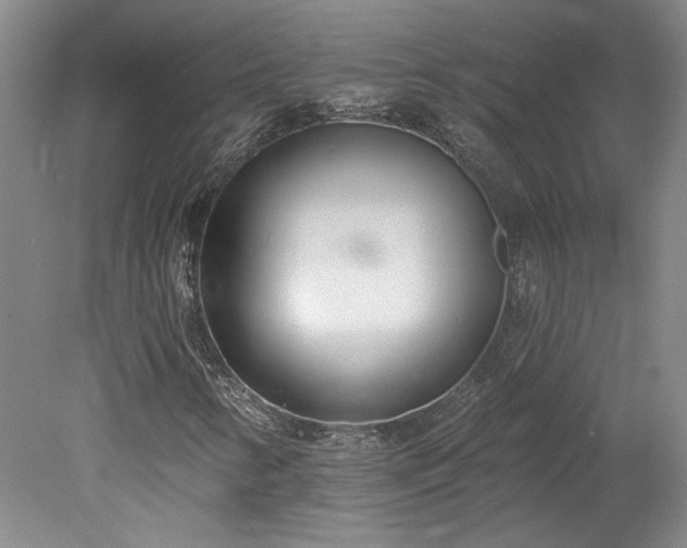 X0000078271346200611101057