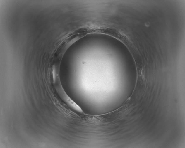 X0000078271348200611101057