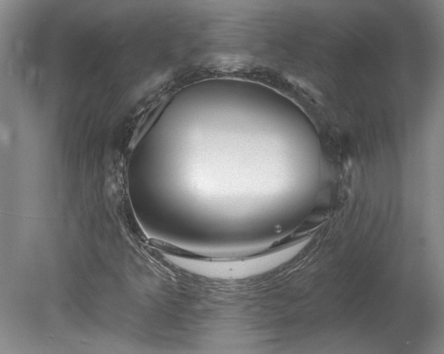 X0000078271349200611101057