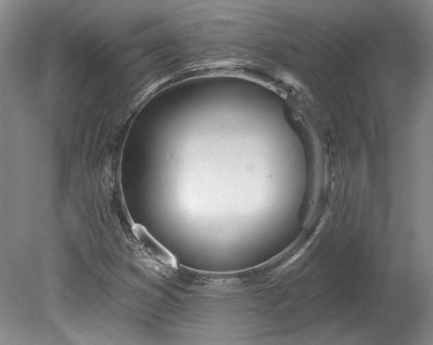 X0000078271353200611101057