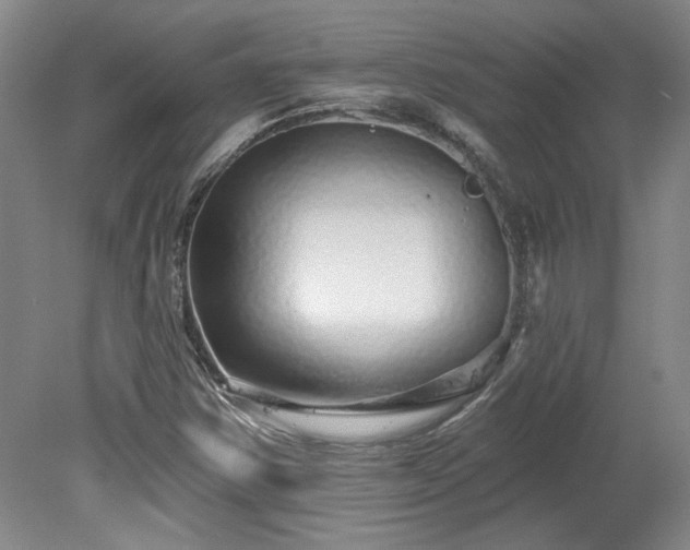 X0000078271354200611101057