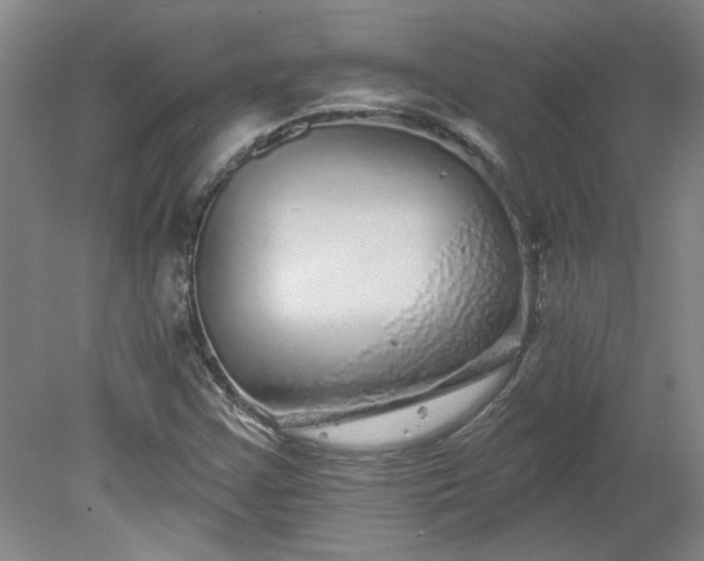X0000078271355200611101057