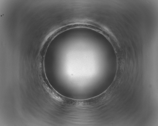 X0000078271360200611101057