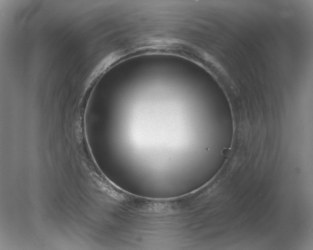 X0000078271362200611101057