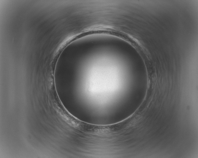 X0000078271363200611101057