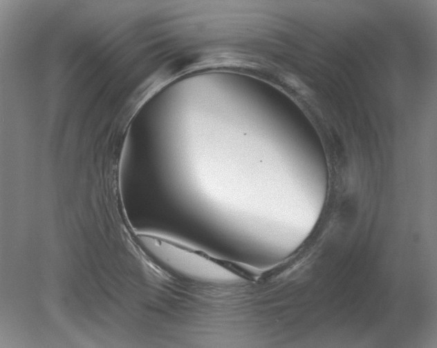 X0000078271369200611101056