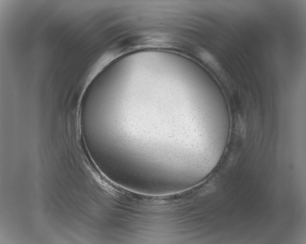 X0000078271370200611101056