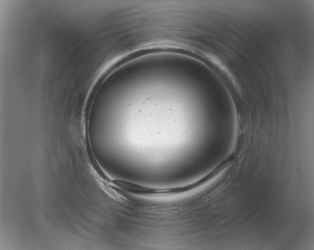 X0000078271372200611101056