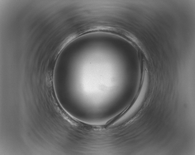 X0000078271377200611101056