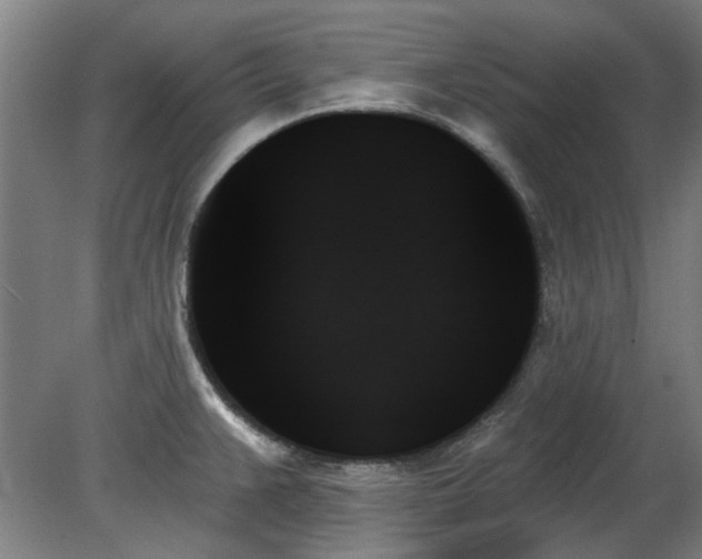X0000078271383200611101056