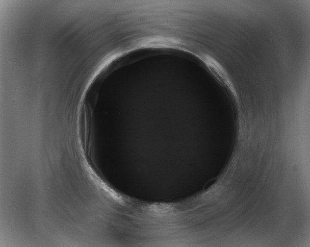 X0000078271384200611101056