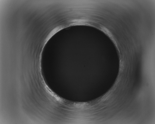 X0000078271386200611101056