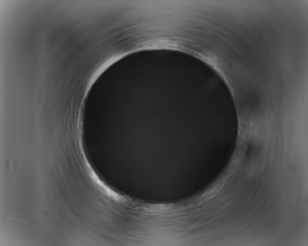 X0000078271387200611101056