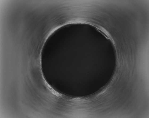 X0000078271388200611101056