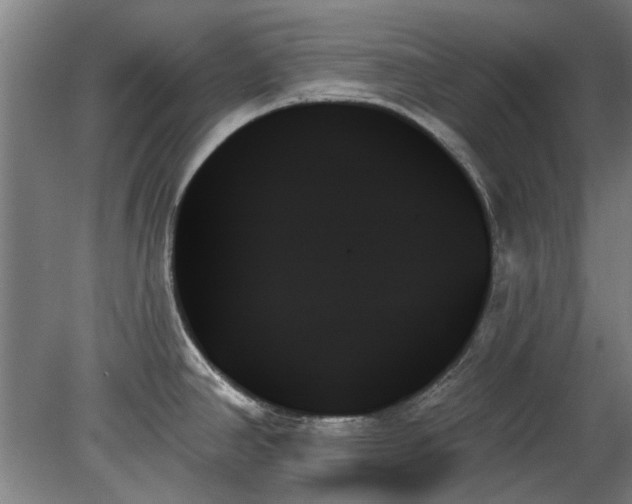 X0000078271390200611101056