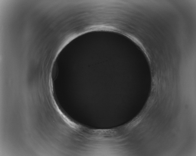 X0000078271391200611101056