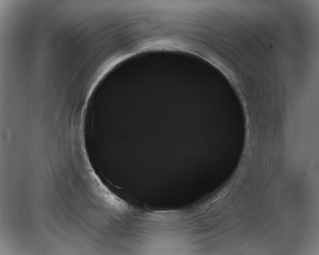 X0000078271392200611101056