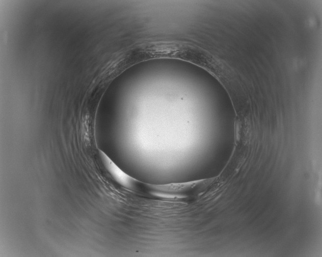 X0000078271394200611101055
