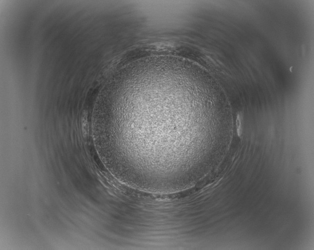 X0000078271395200611101055