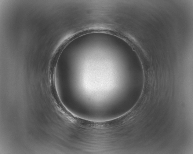 X0000078271408200611101056