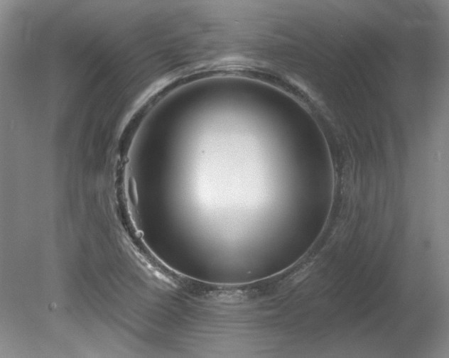 X0000078271410200611101056