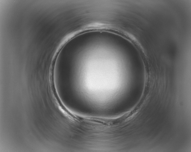 X0000078271421200611101056
