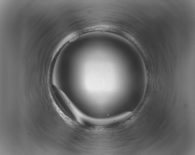 X0000078271426200611101056