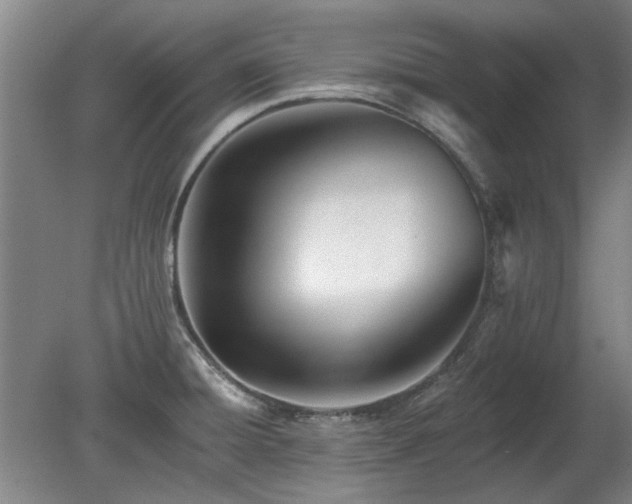 X0000078271428200611101056