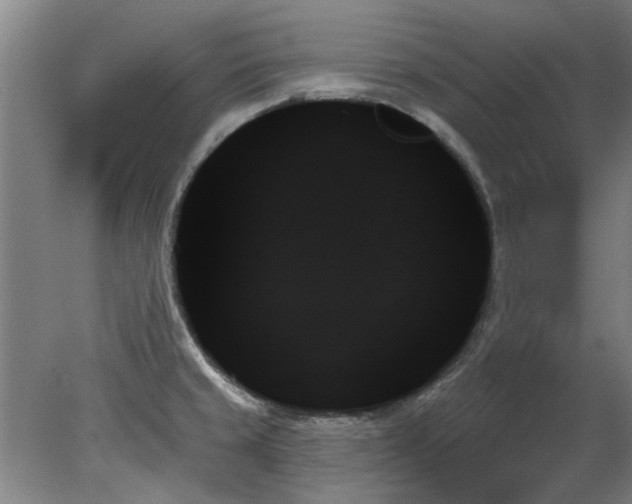 X0000078271429200611101056