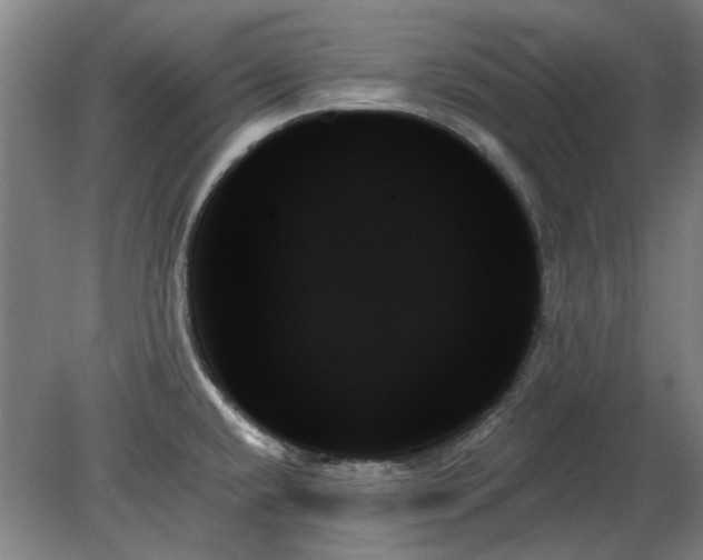 X0000078271432200611101056