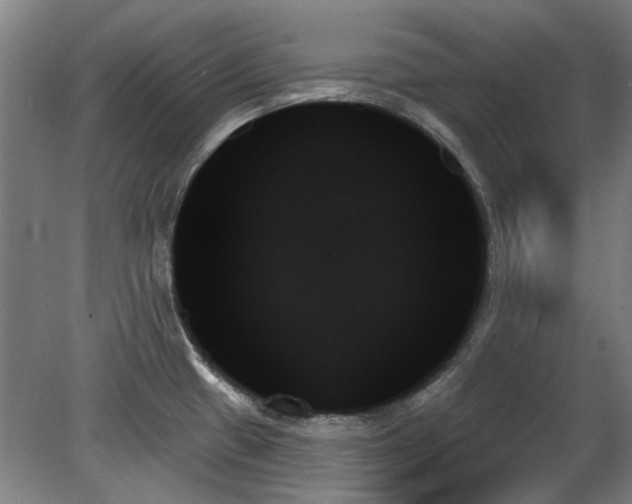 X0000078271433200611101056