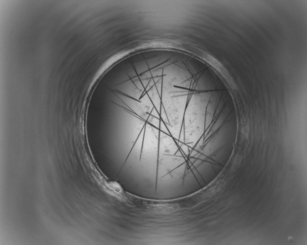 X0000078271436200611101056