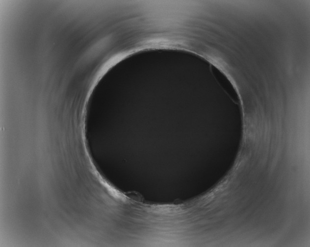 X0000078271437200611101056