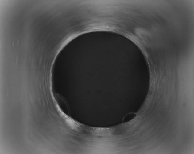X0000078271439200611101056