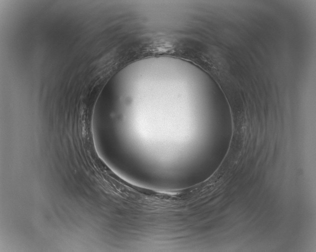 X0000078271442200611101055